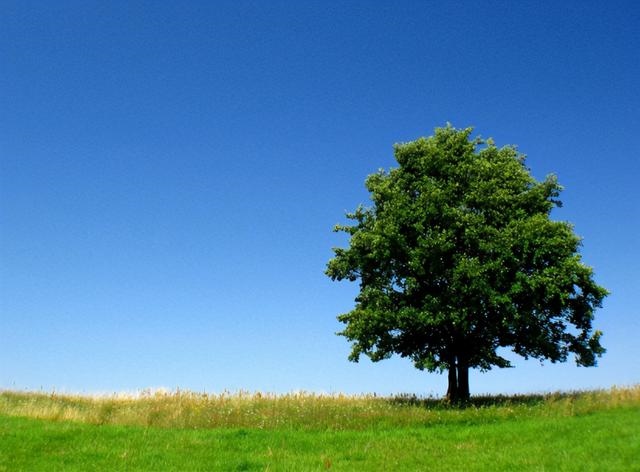 022年过得最开心的星座女，2022事业运势翻红的星座"