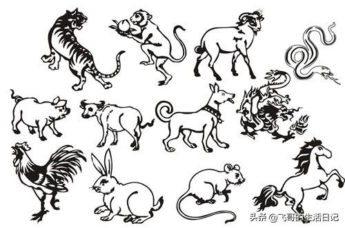 生肖鼠性格特点缺点，属鼠人的性格和优缺点