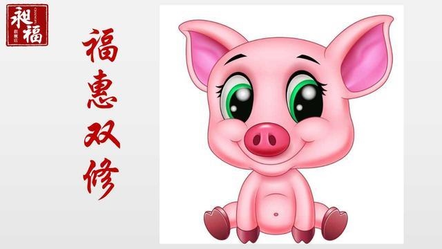 5年属猪财运在哪年，1995年出生的财运"