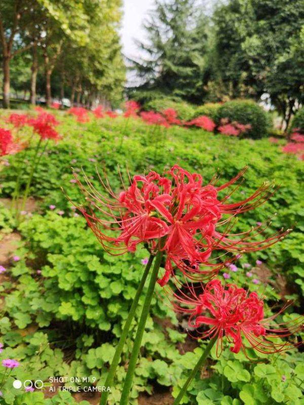 022年属龙忌讳颜色，属龙什么颜色最吉利"