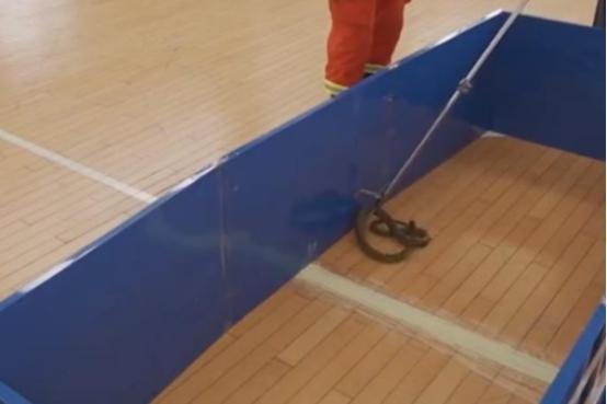 老鼠怕什么气味的东西，老鼠最怕什么气味驱赶