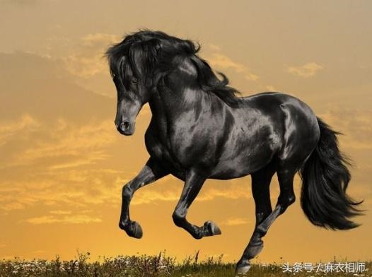 990属马多少岁会转运，1990属马的人晚婚"