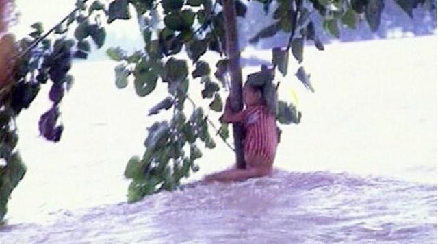 022年是百年不遇虎吗,2022属虎生百年难得一遇"