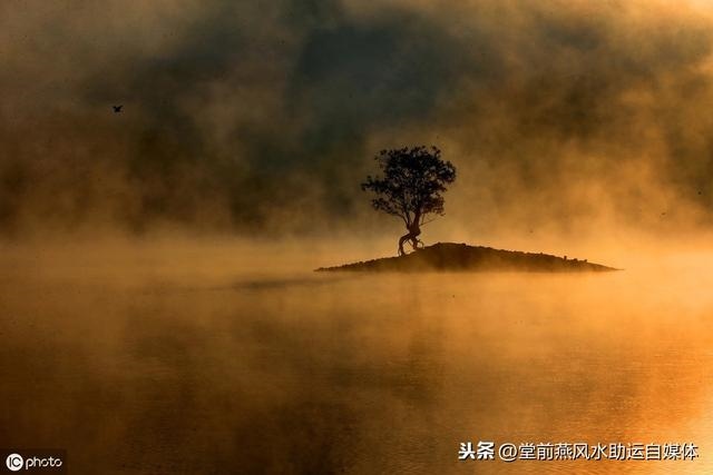 最简单八字旺衰判断 *** ，八字旺衰分析步骤 ***