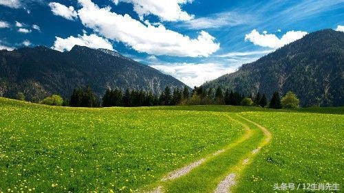 十二生肖财运天天看，2022 年生肖运势天天看