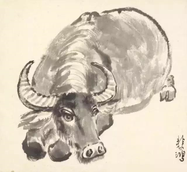 十二生肖图片动物实图，十二生肖12美女壁纸