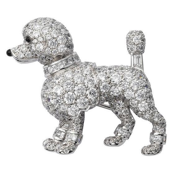 属狗要带什么比较好，属狗女的适合带什么