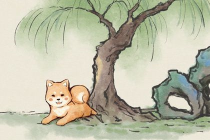 属狗人的2022年运势，属狗2022年运势完整版