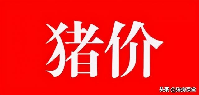 庚子年己丑月乙丑日，2022 年庚子年从哪天开始