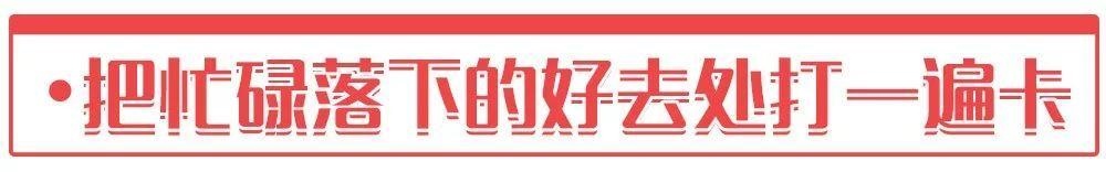 属猪2032年几岁，属猪今年15岁2月初9