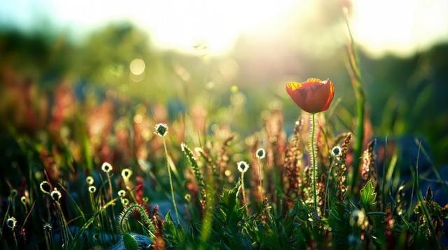 未来二十年大运的星座，2022年事业运更好的星座