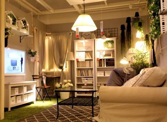 属猪2032年几岁，属猪今年15岁2月初9