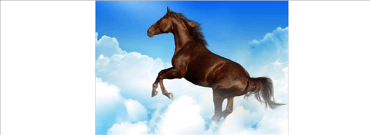 022年生肖马的全年运势，1954年属马人2022年全年运势"