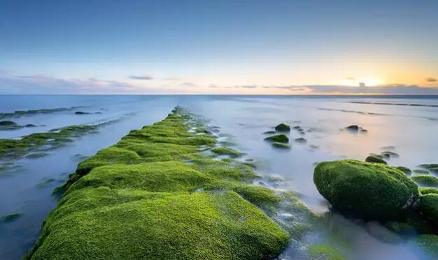 马金林活到多少岁,张永成到底活了多少岁