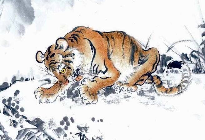 属虎的命中小人，属虎的最怕的三个生肖