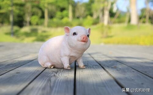 属马的今年下半年的运势，78年属马2022 年下半年运势