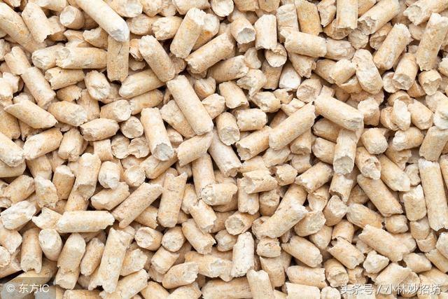 属鼠人的克星都是哪些，属蛇人一辈子的克星