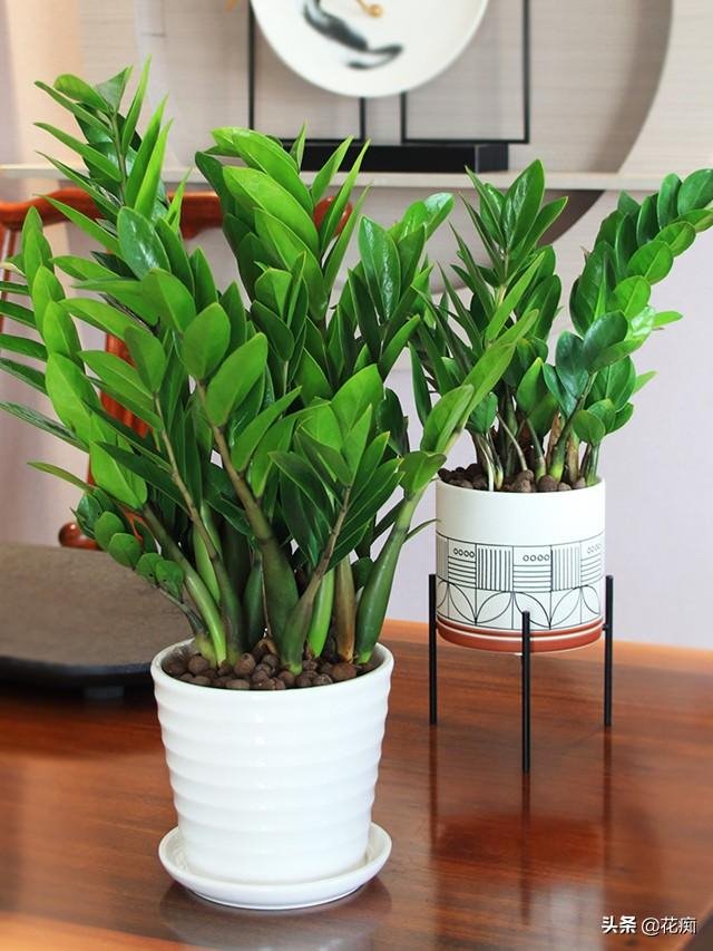 鼠人微信名字两个字带财运的，喜气带财运的微信名字