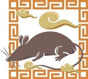 生肖鼠的性格特征,属鼠的人什么性格和爱好