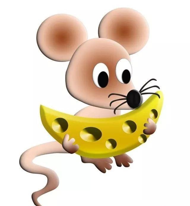 4年十月出生属鼠命运，84年的女鼠2022