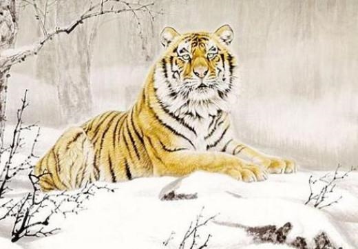 6虎女命命中有几个儿子，86年属虎的更佳贵人"