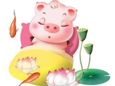 6岁的鼠今年财运如何，1984年属鼠36岁本命年"