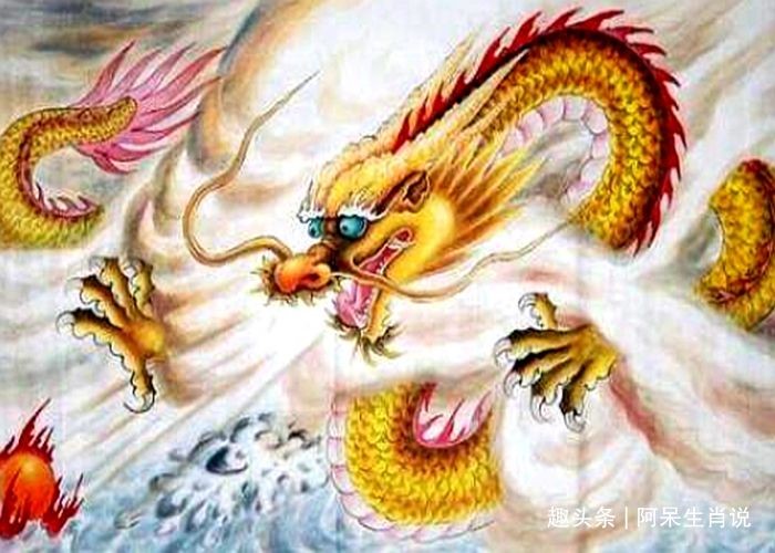 012年属龙女孩命运，2012年出生的今年几岁"