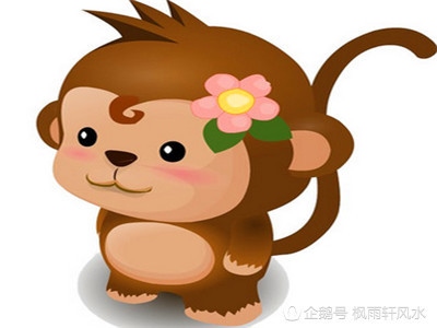 属猴人跟属鼠人合作怎么样,1980年属猴2022 年运势