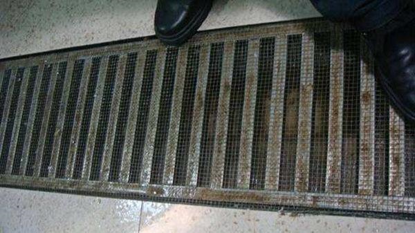 放什么东西老鼠不敢来，风油精和薄荷油哪个可以驱鼠