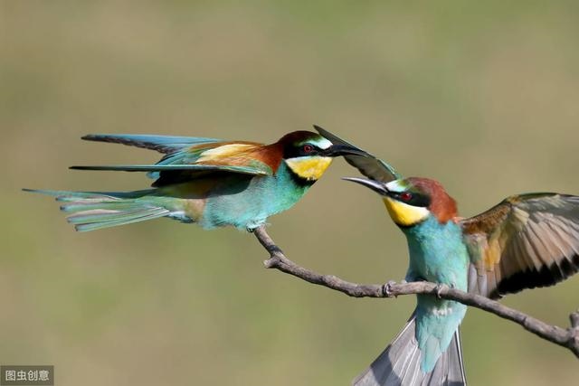 4卦自己占卜，易经六十四卦全图解"