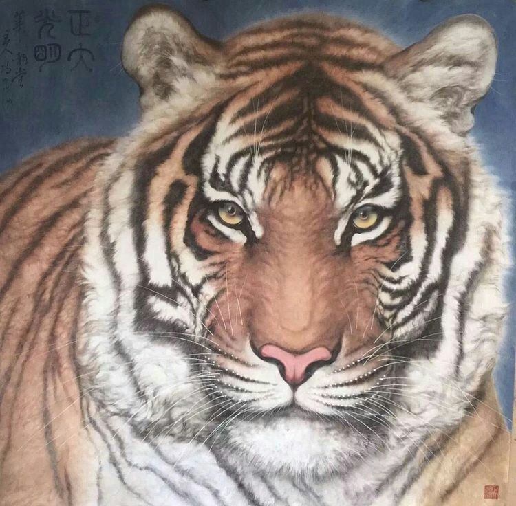 4年属虎人今年运程,1974年属虎2022本命年"