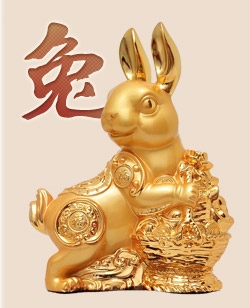 属兔和什么生肖结婚更好，属龙的和属兔的婚姻怎么样