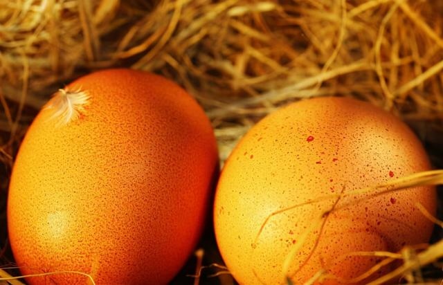 5年属牛人10月份运势，85年属牛人一生几次劫难"