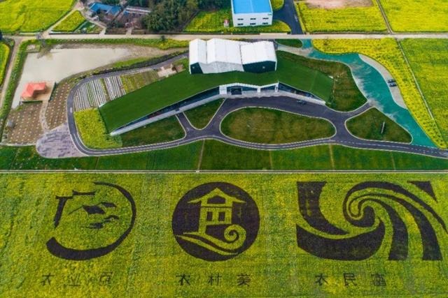 丑牛年2022 运势，免费生辰八字五行分析