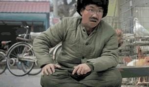 免费算命软件哪个最准最全免费，算命软件免费下载