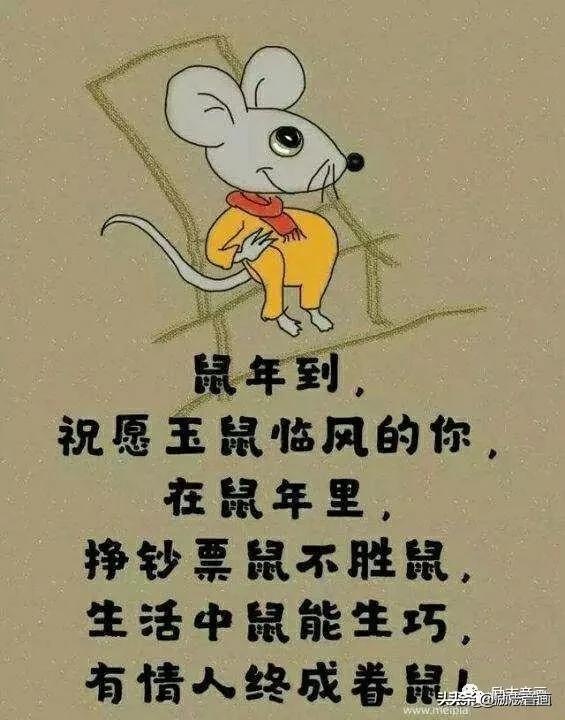 腊月鼠的命运怎么样，2022 年属鼠腊月出生好吗