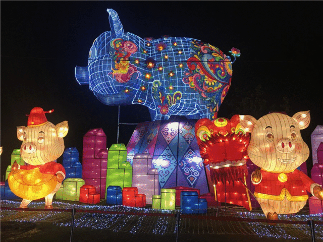 属猪2032年几岁，属猪今年15岁2月初9