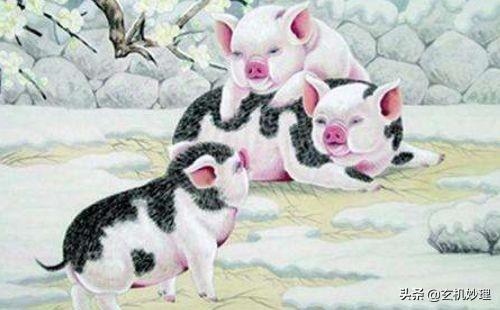 属龙的女人旺夫吗，1988属龙的女人旺夫吗