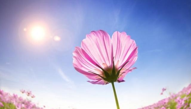 974年男属虎什么时候发财，八字测算免费"