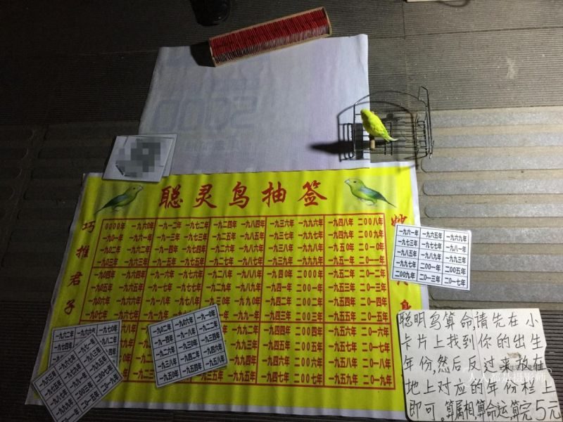 算命 免费算命大，三命通会免费算命