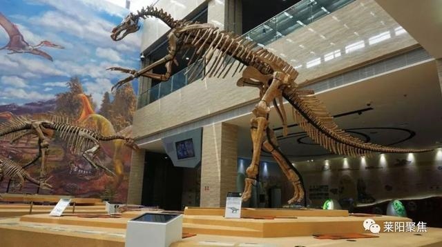 十二生肖岁数排名表，生肖年龄对照表2022