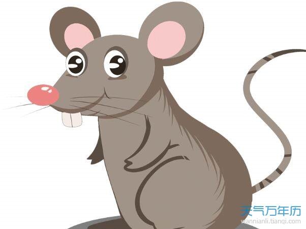 2年女生属鼠婚配更好，1984年属鼠女人2022