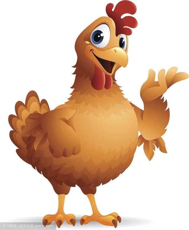 属鸡的运气不好怎么转运，属鸡每天运气