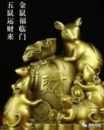 腊月鼠的命运怎么样，2022 年属鼠腊月出生好吗