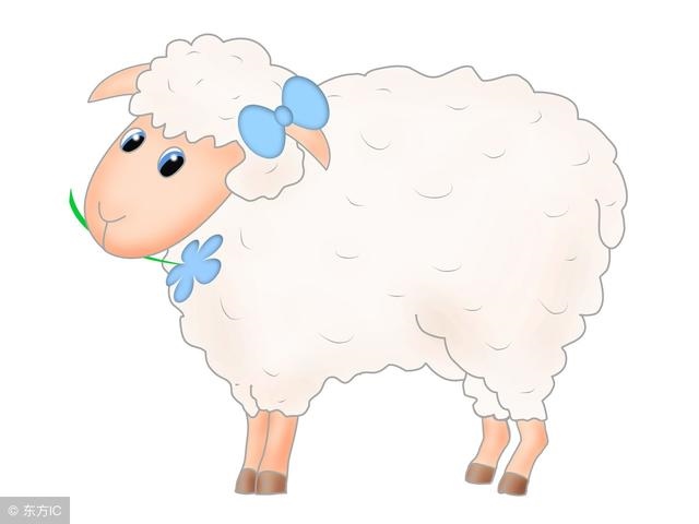 生肖羊流年运势，生肖羊今日运势查询