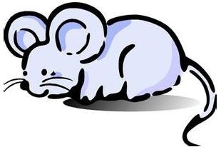 报复人最可怕的生肖女，让男人回头的生肖女