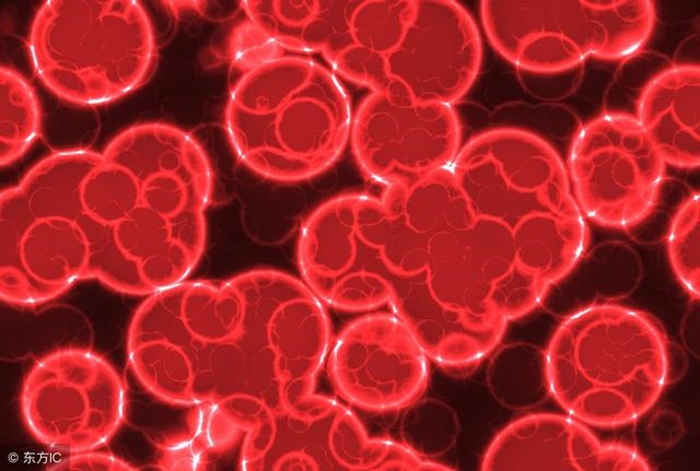 乙酉日柱壬寅流年运程，乙酉日柱男命大富大贵