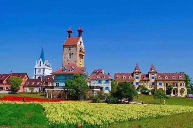 属猪2032年几岁，属猪今年15岁2月初9