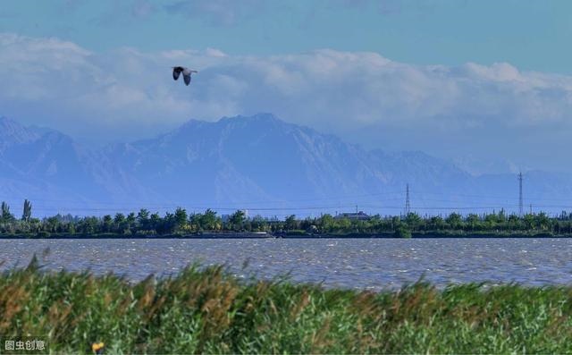 属鼠的男的性格特点，属鼠的人性格和优缺点