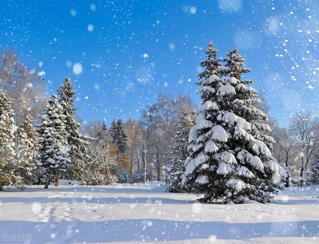 今日运势查询星座，2022 年10月11日十二星座运势